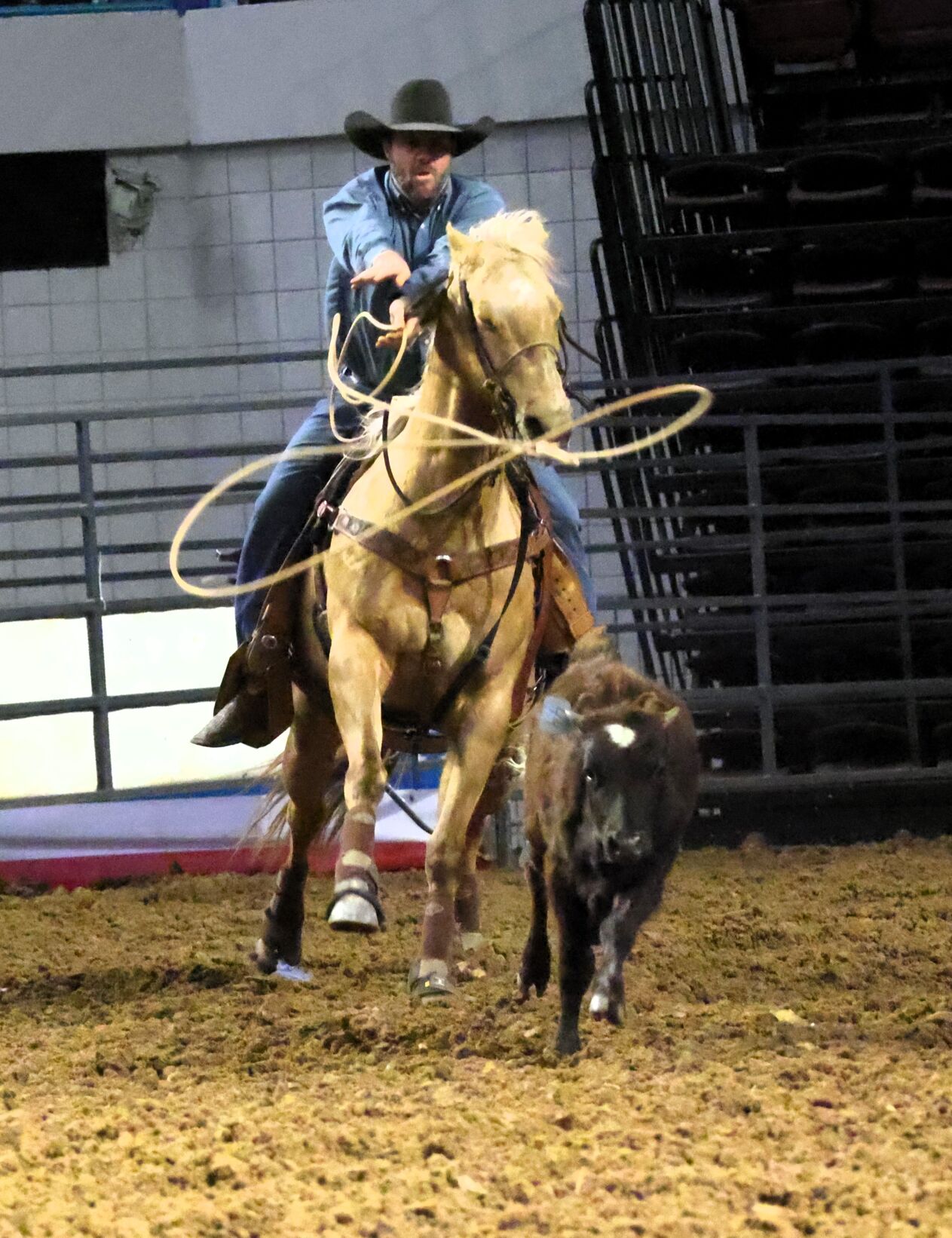 PHOTOS Florence Rodeo