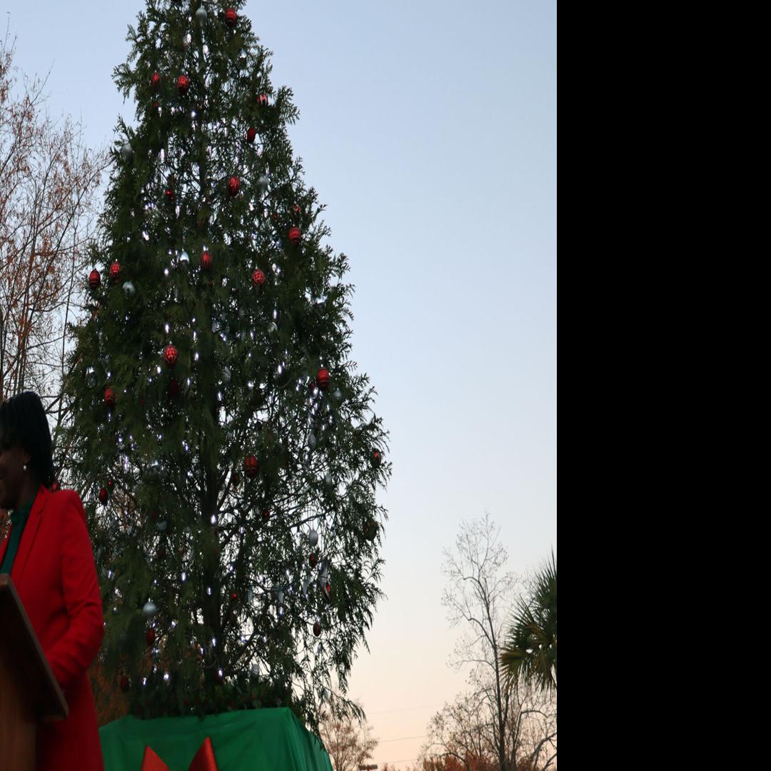 Christmas In Cotuit 2022 Toney Moore, Teresa Myers Ervin Light Florence City-County Christmas Tree |  Local News | Scnow.com