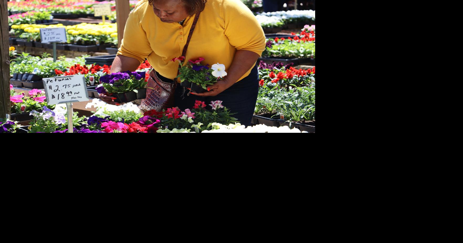 Pee Dee Plant and Flower Festival begins