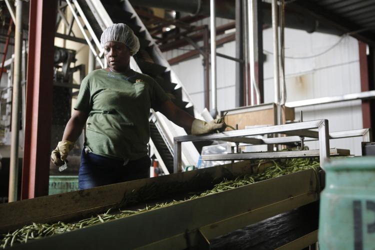 McCall Farms cans food produced by SC growers