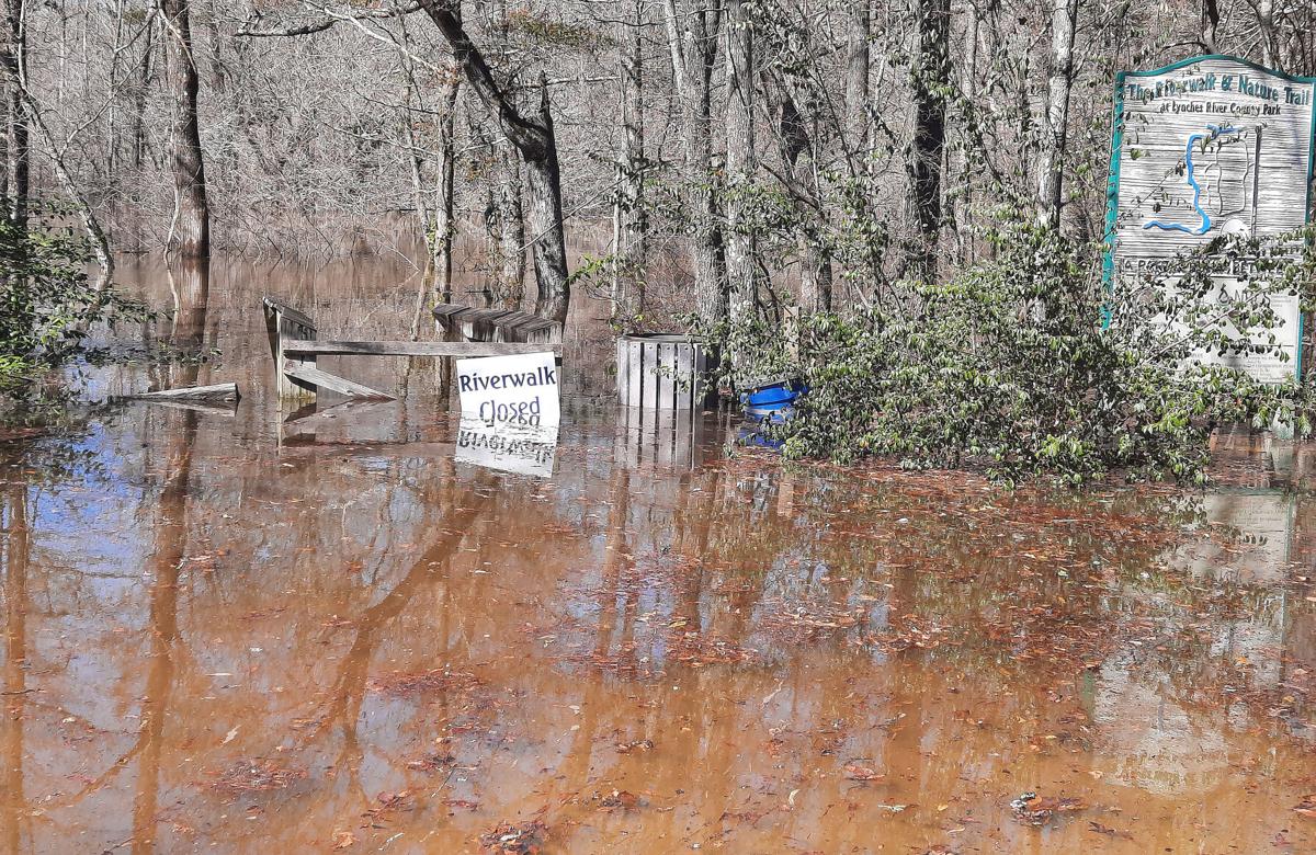 Lynches River Flooding