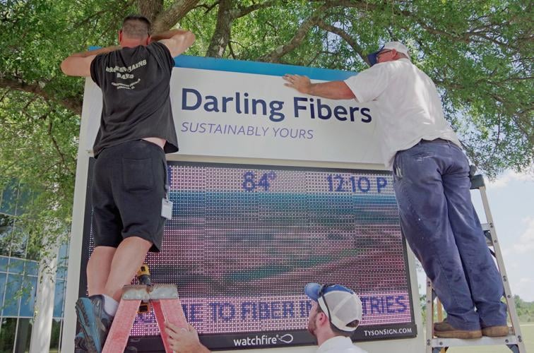 Darlington's Fiber Industries rebrands as Darling Fibers, launches