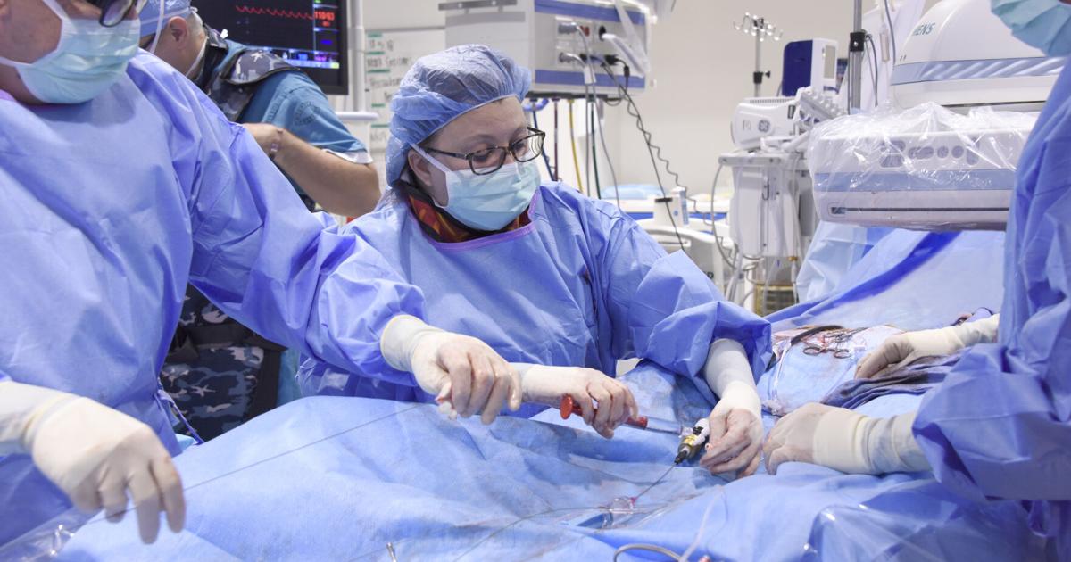 Treating aneurysms with FEVAR