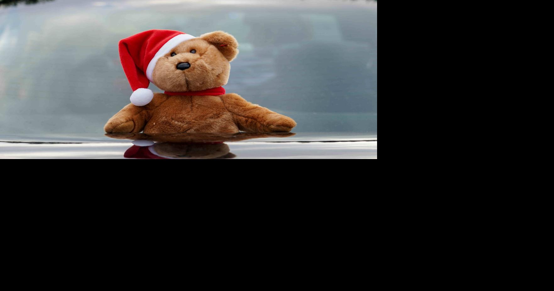 PHOTOS Darlington Christmas Parade