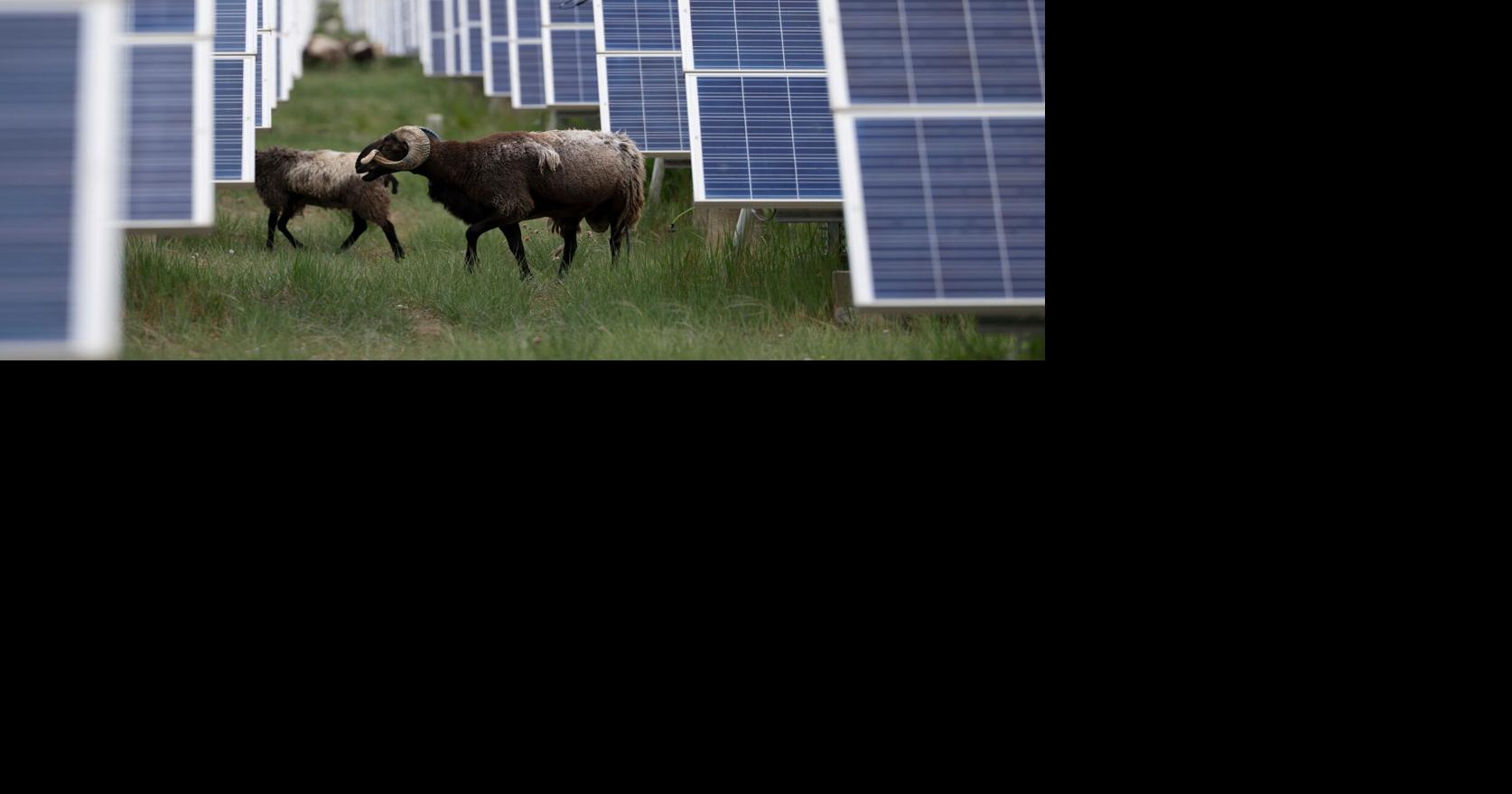 Iran war's global energy crisis sharpens China's advantage in clean tech