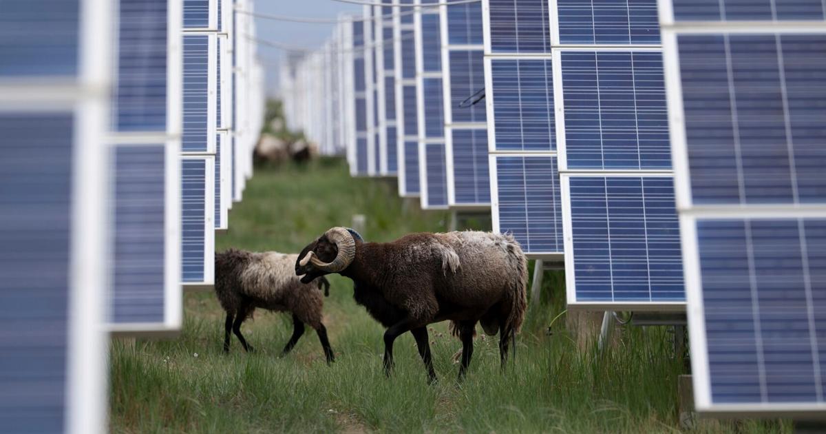 Iran war's global energy crisis sharpens China's advantage in clean tech