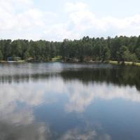 PHOTOS: Camp Sandy Ridge
