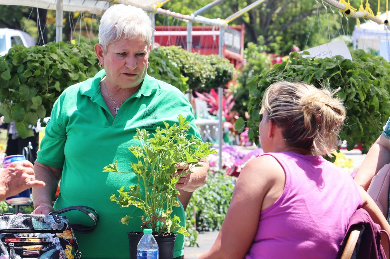 Pee Dee Plant and Flower Festival begins