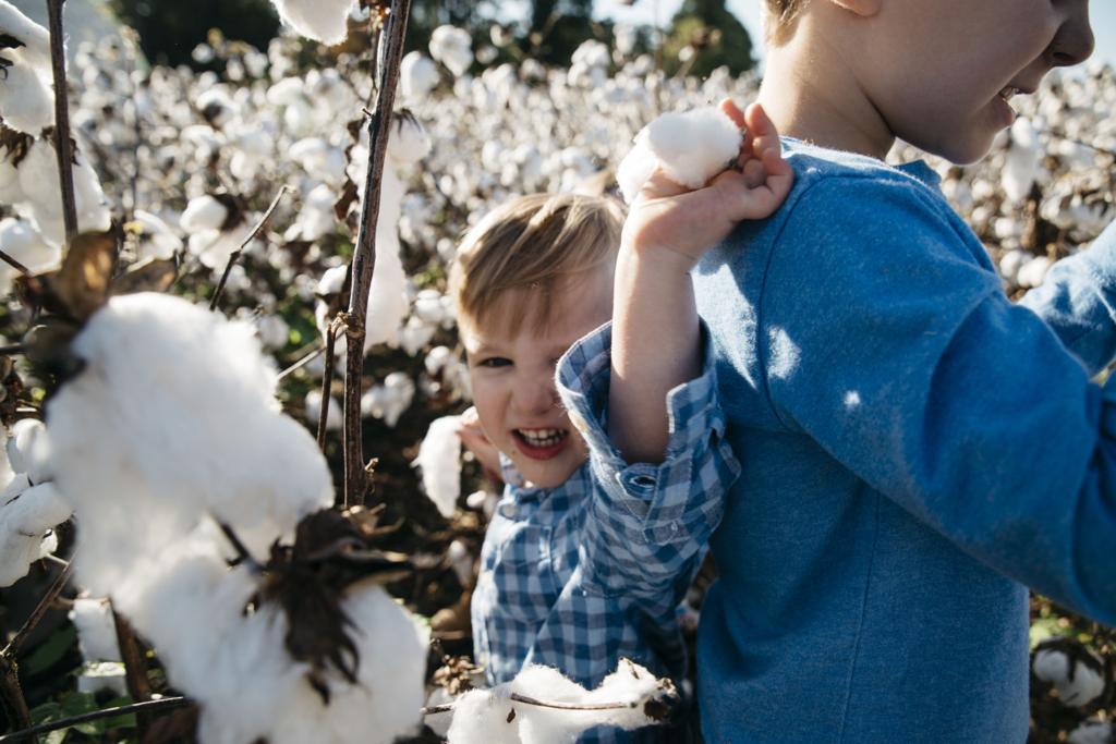 Medical Ordeal Led To Darlington County Farm Family S Blanket Business Business News Scnow Com