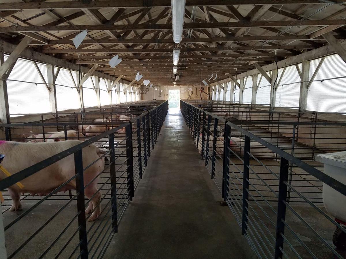 Starkey Swine Center