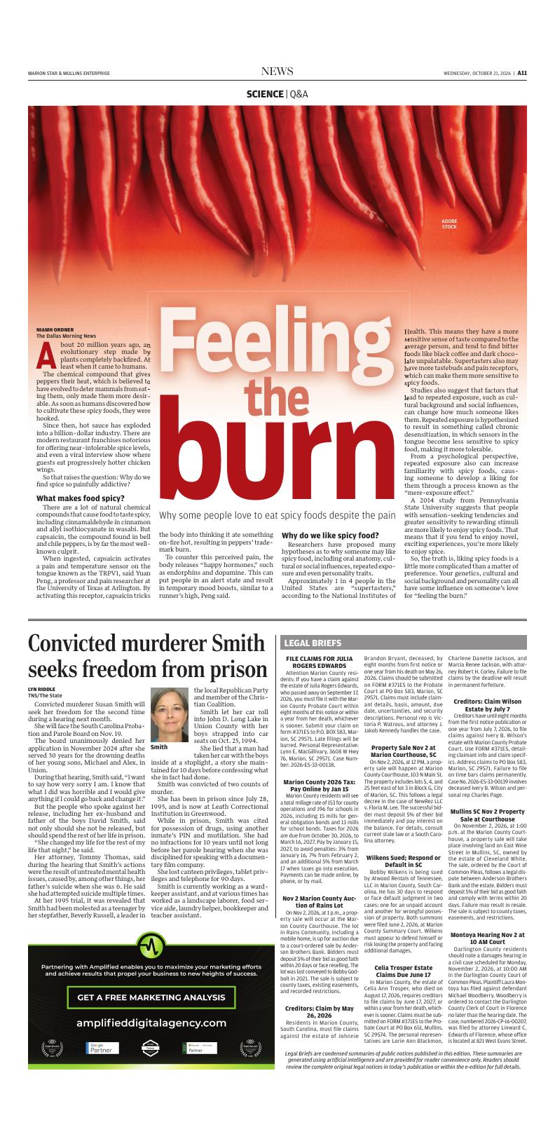 Page A11