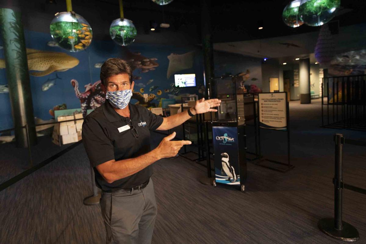 Rebranded Arizona Boardwalk Reopens Business Scottsdale Org The odysea is a large aquarium containing more than 2 it includes an indoor ice bar for both adults and children. rebranded arizona boardwalk reopens