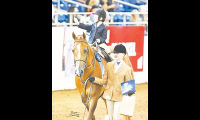 Arabian Horse Show gallops into 68th year