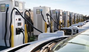 Terawatt looking to create a buzz in Scottsdale