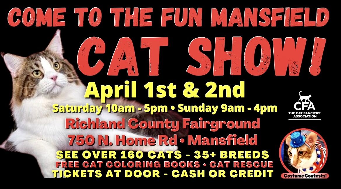 Central Jersey Cat Fanciers Cat Show continues today - Morris Focus