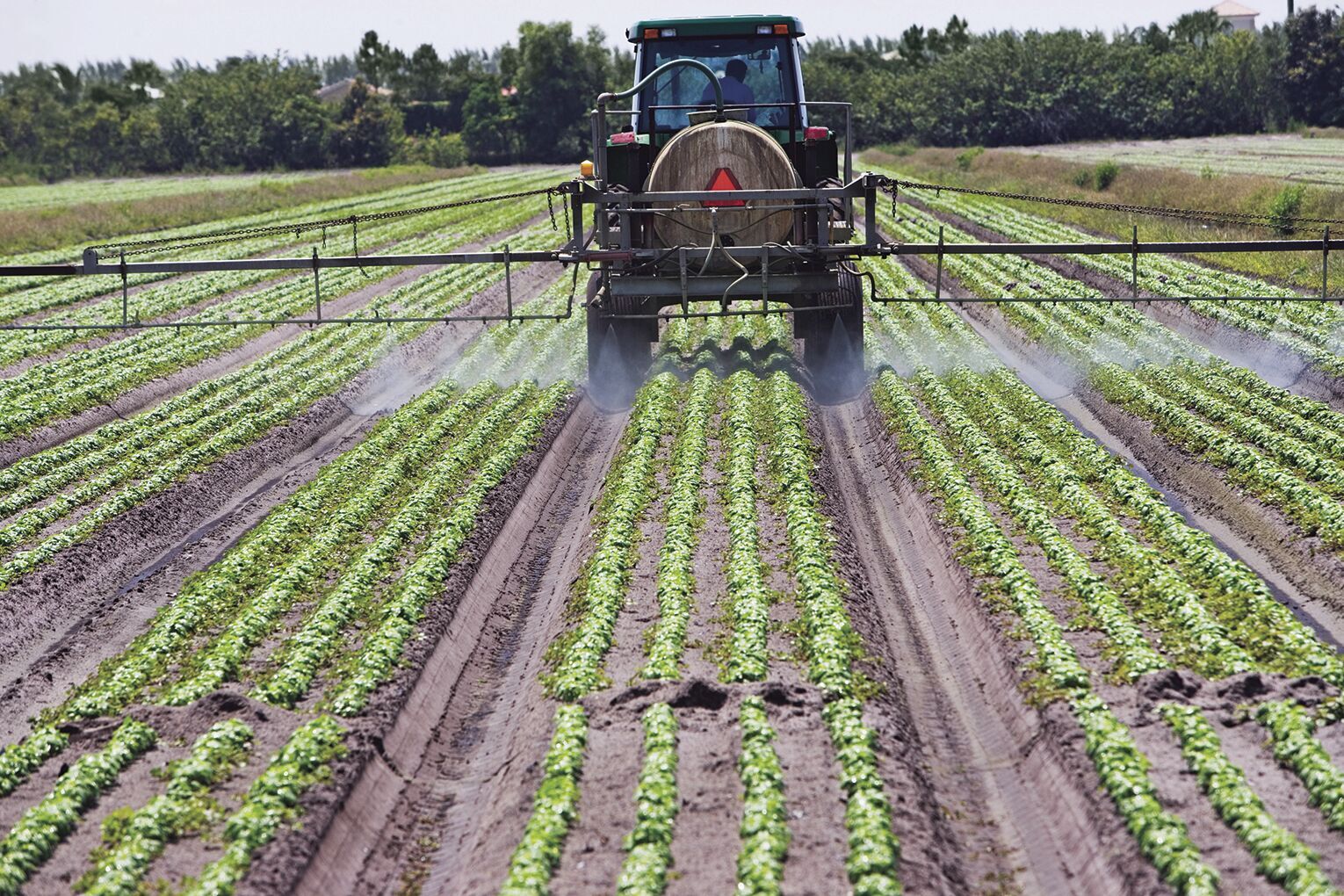 Celebration Of Agriculture Starts Across Ohio, Nation | News ...