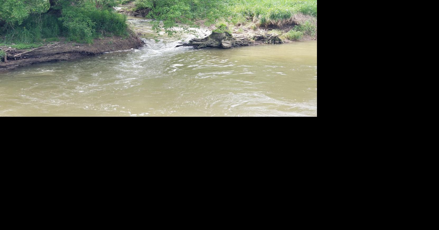 Photo gallery Trouble along Black Fork River Multimedia