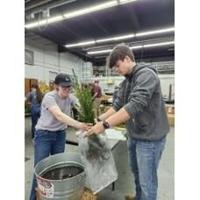 Swcd Tree Sale Crawford SWCD Tree Sale | News | sdgnewsgroup.com