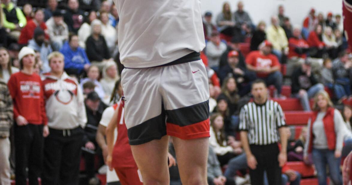 Three Shelby Whippets named to All Mid Ohio Athletic Conference basketball team