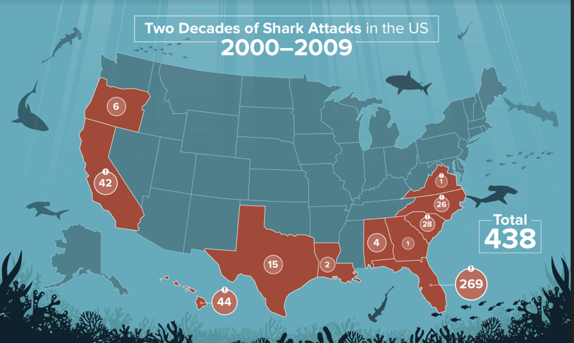 Shark attacks relatively rare in Texas