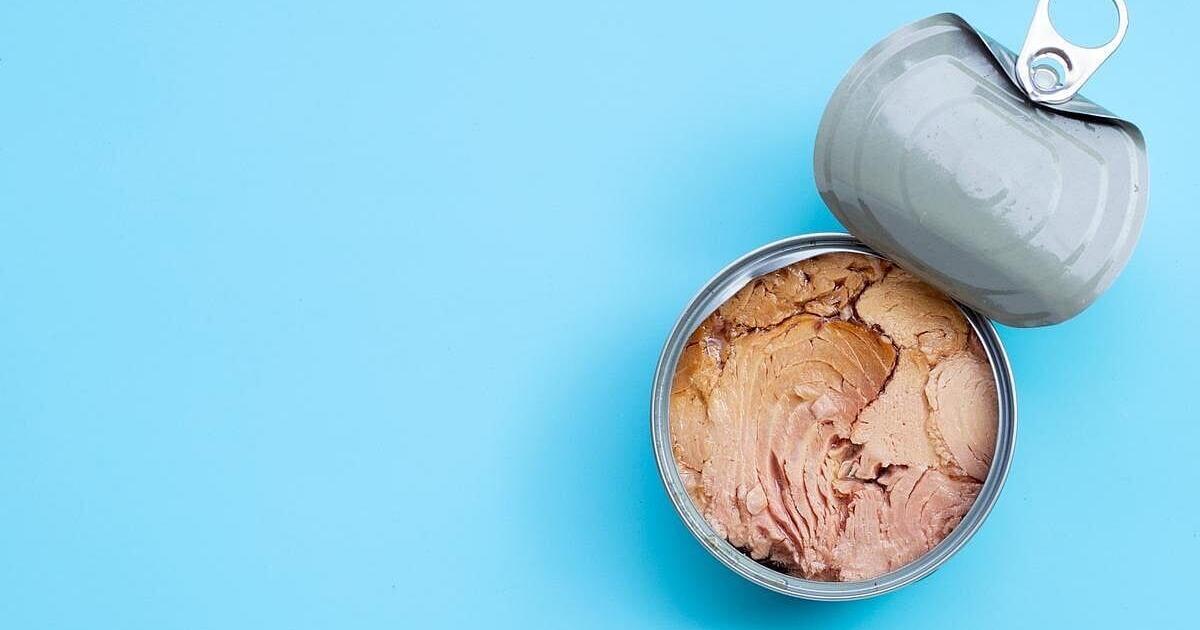 MS Patients May Benefit From Eating More Fish | Health MS Patients May Benefit From Eating More Fish | Health