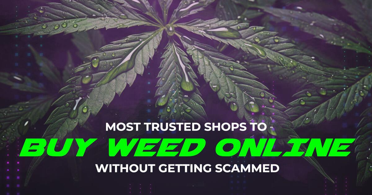 8 Most Trusted Shops to Buy Weed Without Getting Scammed