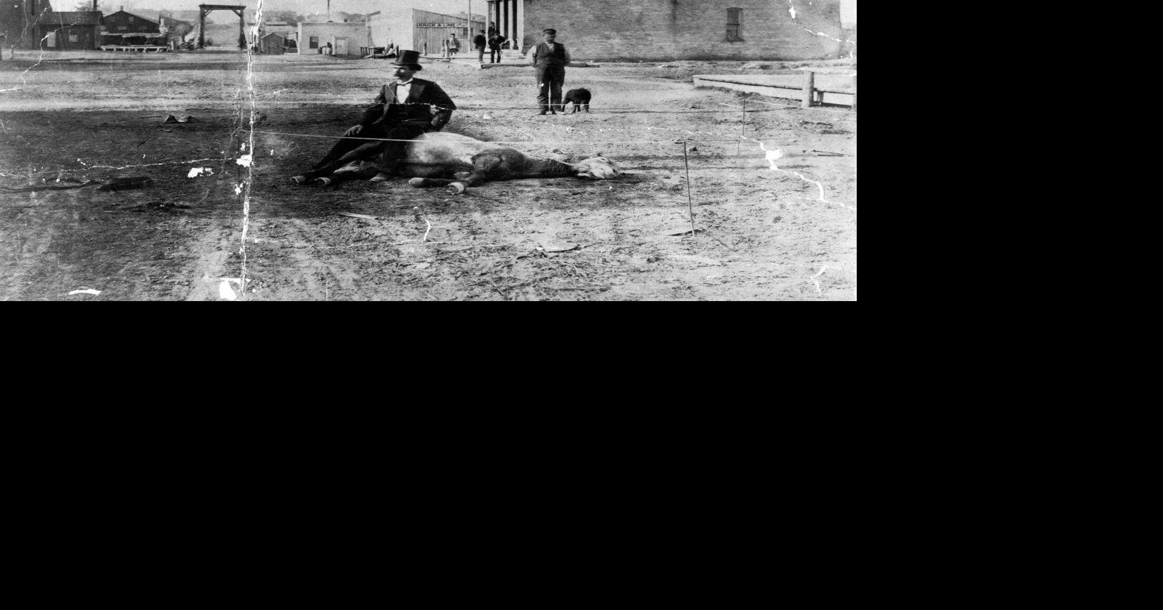 History Uncovered Weird Wisconsin laws History