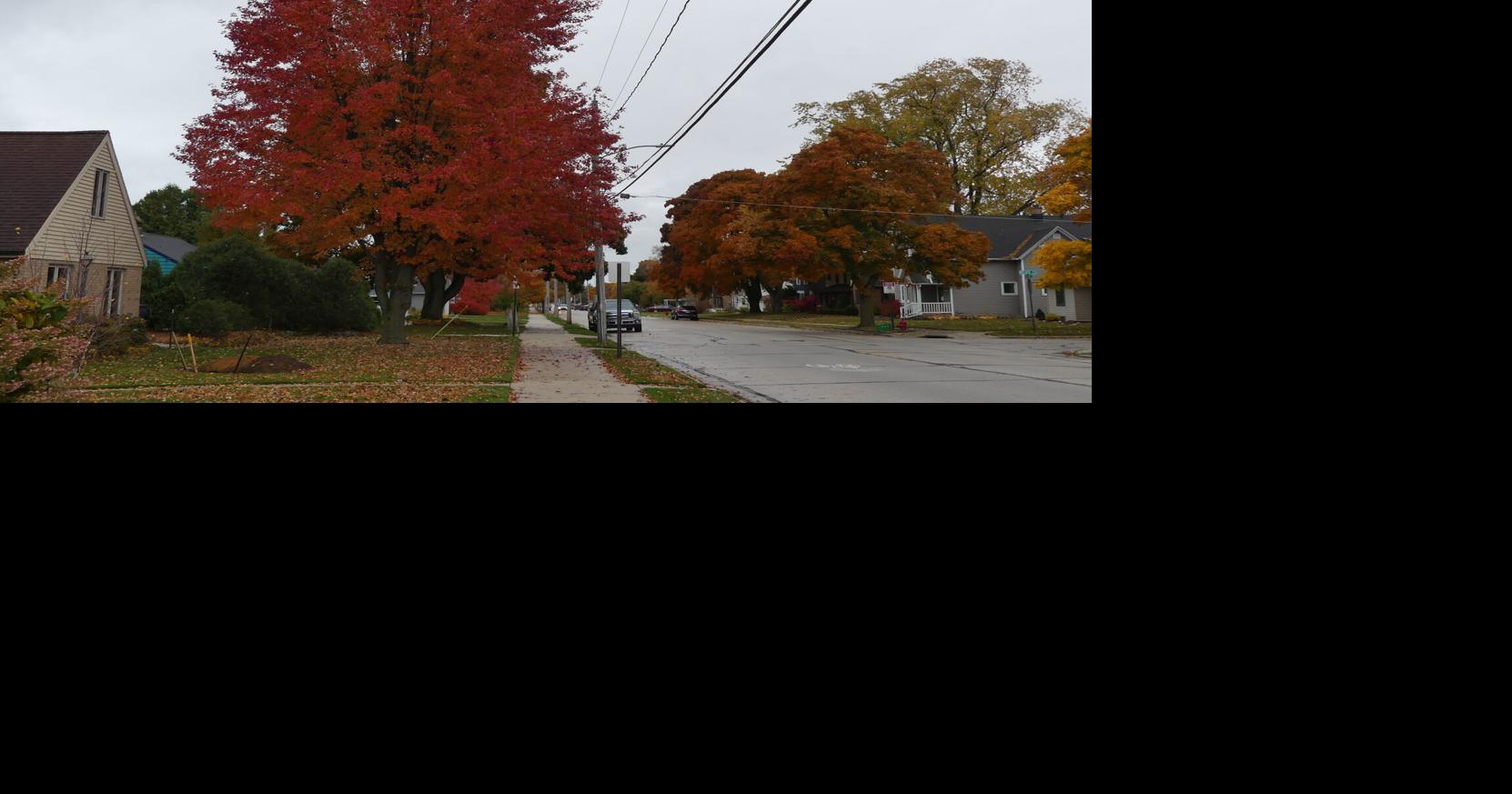 Fall leaf collection begins in City of Sheboygan Local News