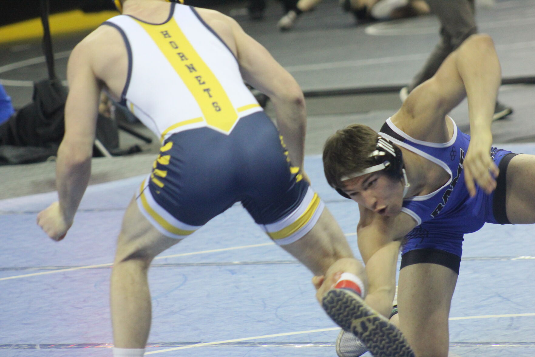 Six Sheboygan County Wrestlers Win Medals At 2022 WIAA State Wrestling ...