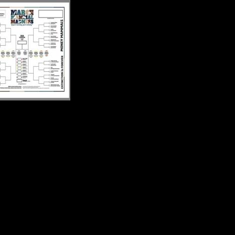 Sheboygan County students shine at Science Olympiads and more