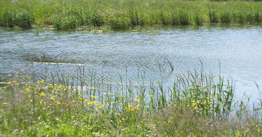 Matching donations to Glacial Lakes Conservancy: Double your impact now