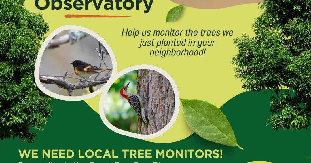 Volunteer opportunity: Monitor trees at Maywood Environmental Park