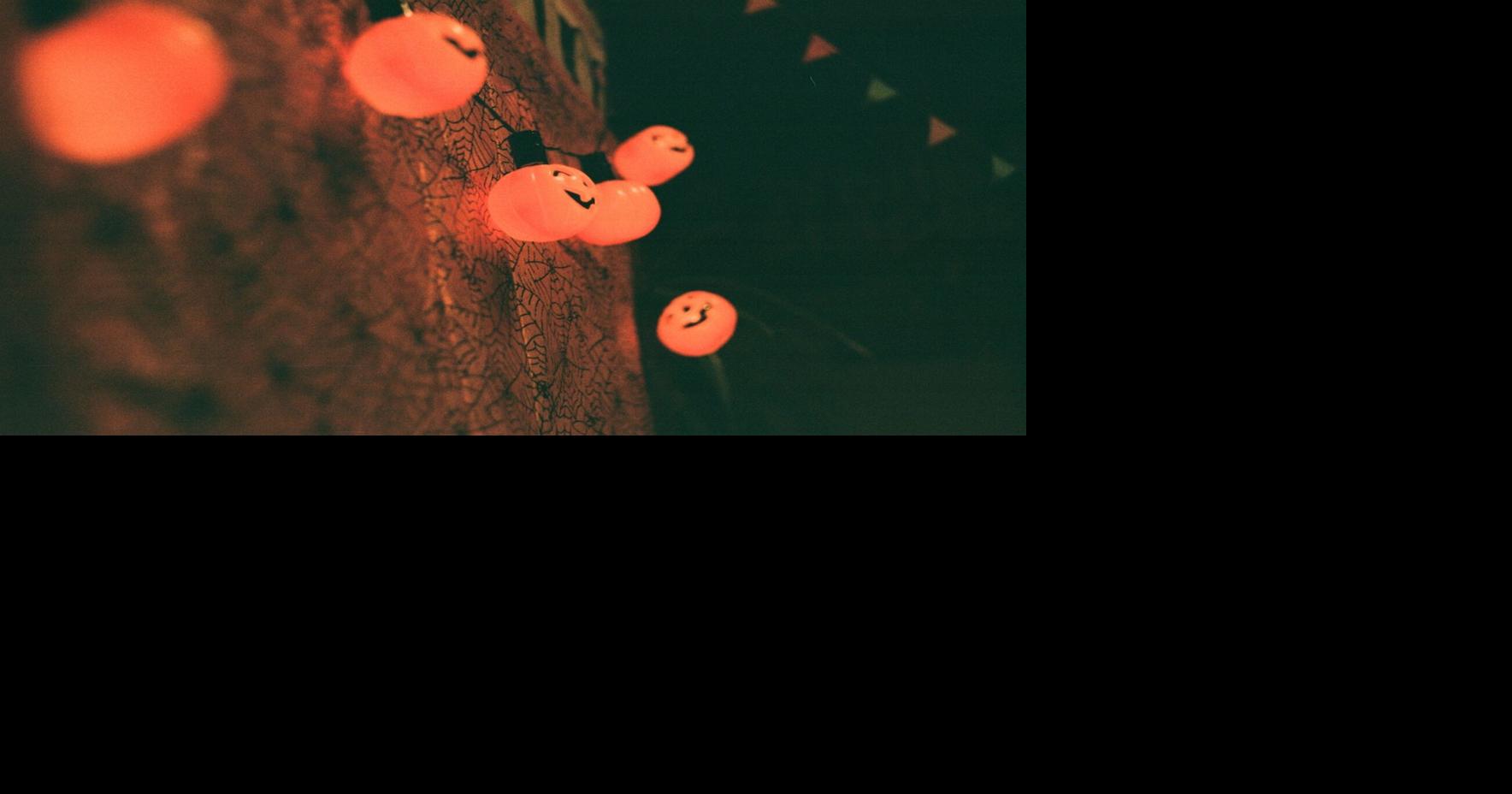 Haunted car washes, spooktacular zoos and synchronized light displays