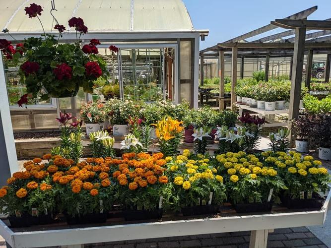 Get your yard and garden ready for spring with the help of these local