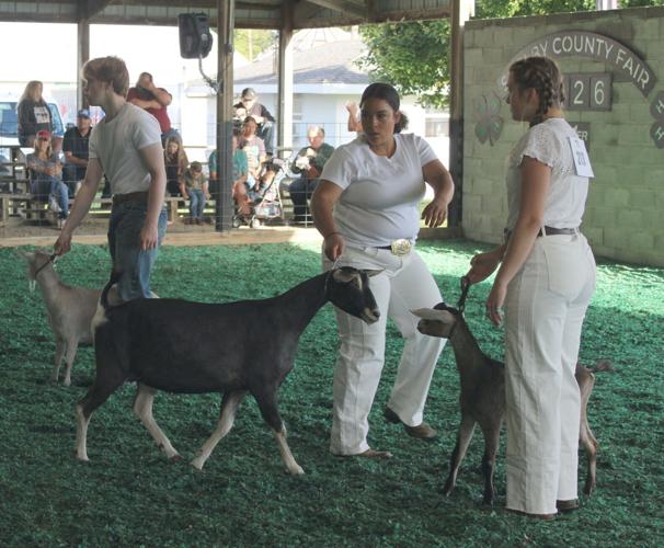 Boring, Elliott, Gosser win dairy goat titles; Utility goat results