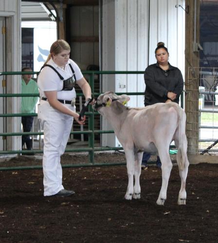 Over the Moon: Bell wins Supreme Dairy Female, News