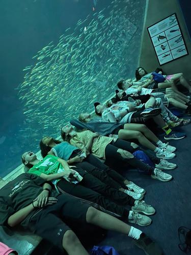 Aquarium