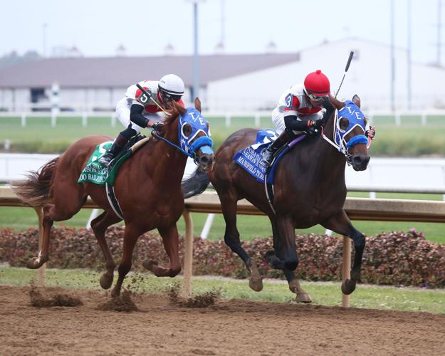 Mansfield Tiger roars home for win in ITOBA Stallion Season Stakes at