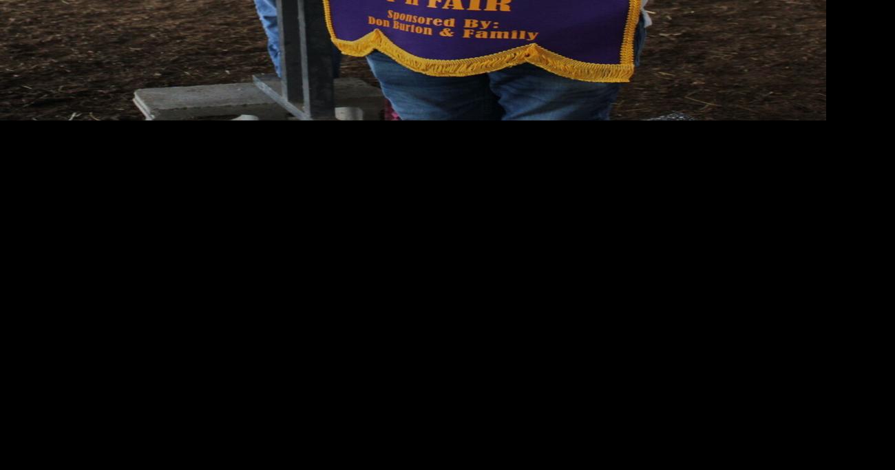 'What's up doc?': Ryder wins Best of Show for rabbit | News ...