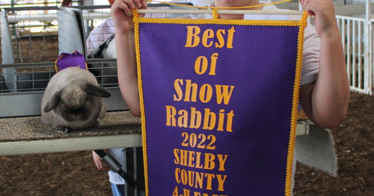 'What's up doc?': Ryder wins Best of Show for rabbit | News ...