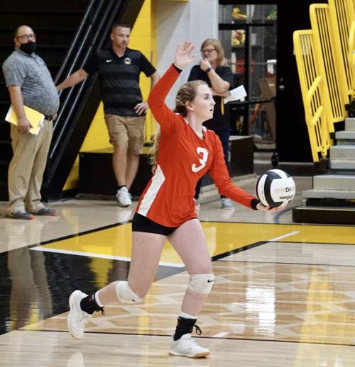 Robertson, Hodgin named All-District