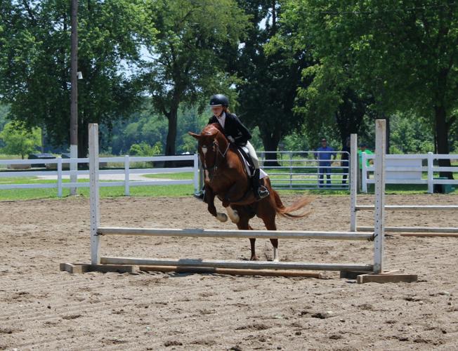 4-H’ers reign in titles at the Horse and Pony Show | News | shelbynews.com