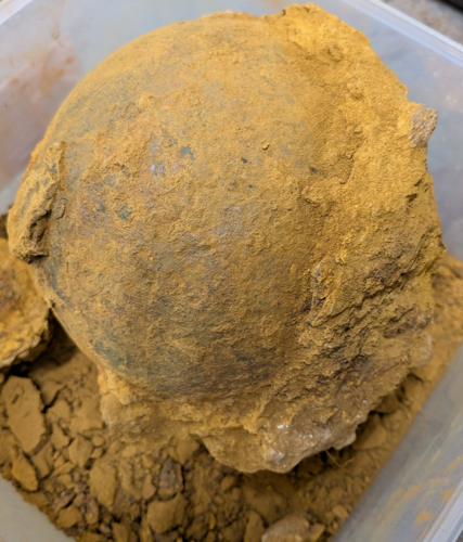 Rare 18th-century mortar shell found intact at battle site | National ...