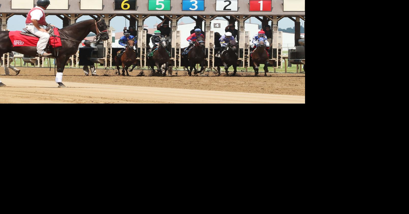 Road to Louisville contest offers chance to purchase Indiana yearling