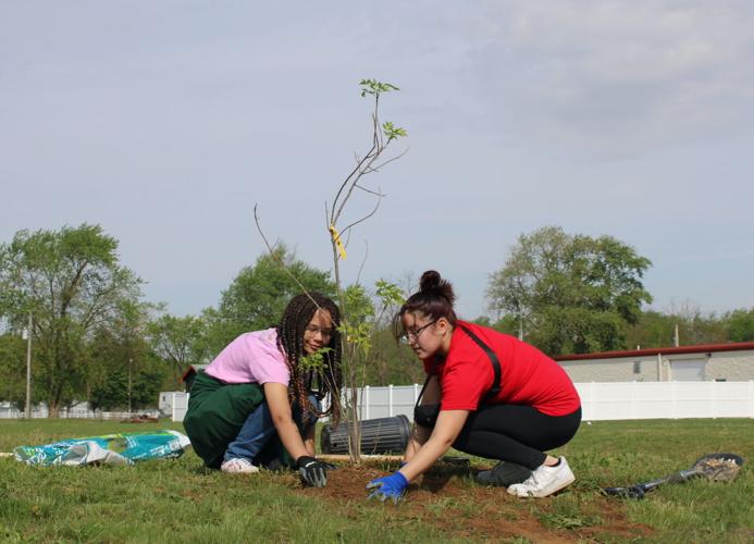'One, Two, Tree, Go!': Tree Trot 5K raises over $1,000 | News ...
