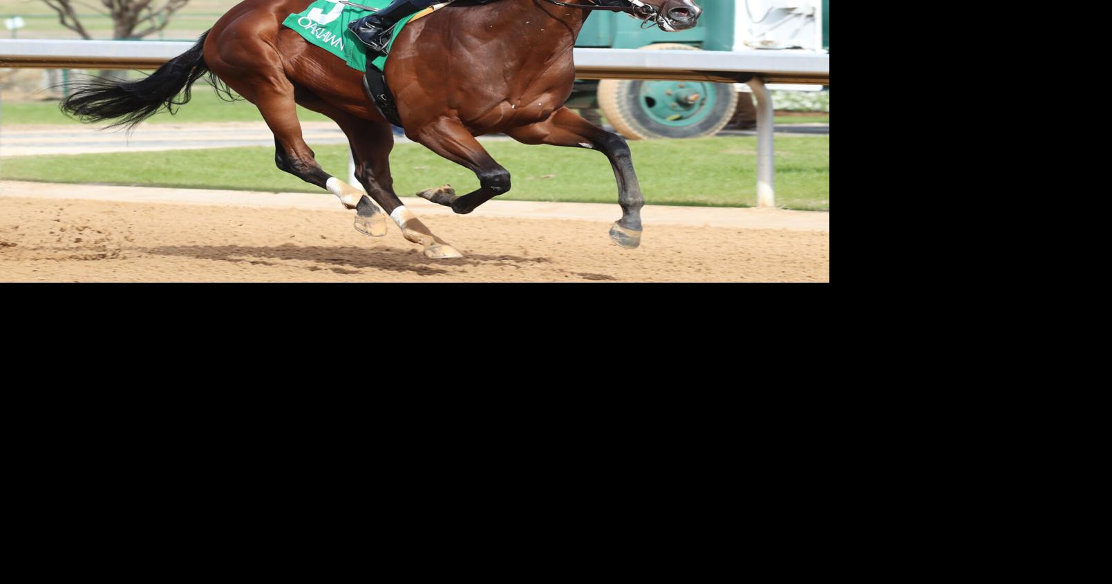 Verifying can earn first stakes win, keep Cox’s big year rolling in