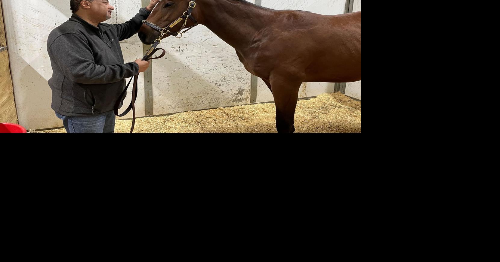 Tony Bradshaw now a horse owner at Horseshoe Indianapolis Sports