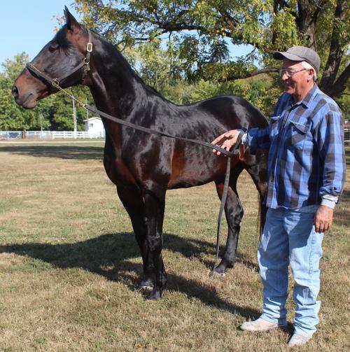 Racing horses train at Fairgrounds