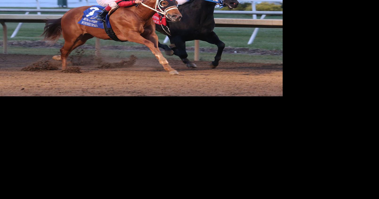 More than 1.9 million slated for Quarter Horse Stakes in 2023 at 2023