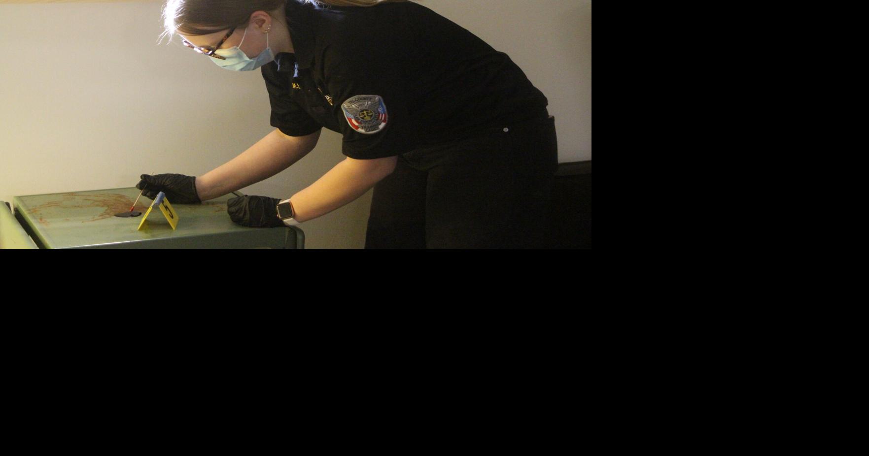 Suspect in alleged breaking and entering still at large (mock article ...